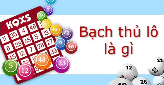 bach-thu-lo-la-gi bạch thủ lô là gì